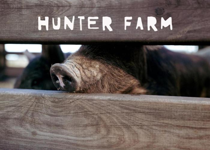 Hunter Valley Resort, Hunter Farm Adventure Centre & 4 Pines at the Farm