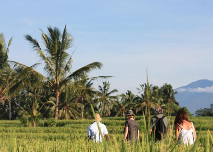 Wapa di Ume Ubud - CHSE Certified