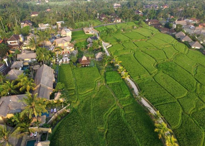 Wapa di Ume Ubud - CHSE Certified