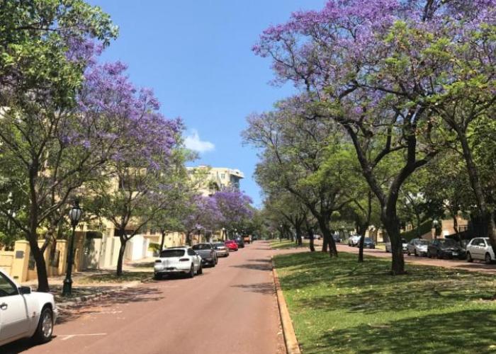 Riverview on Mount Street