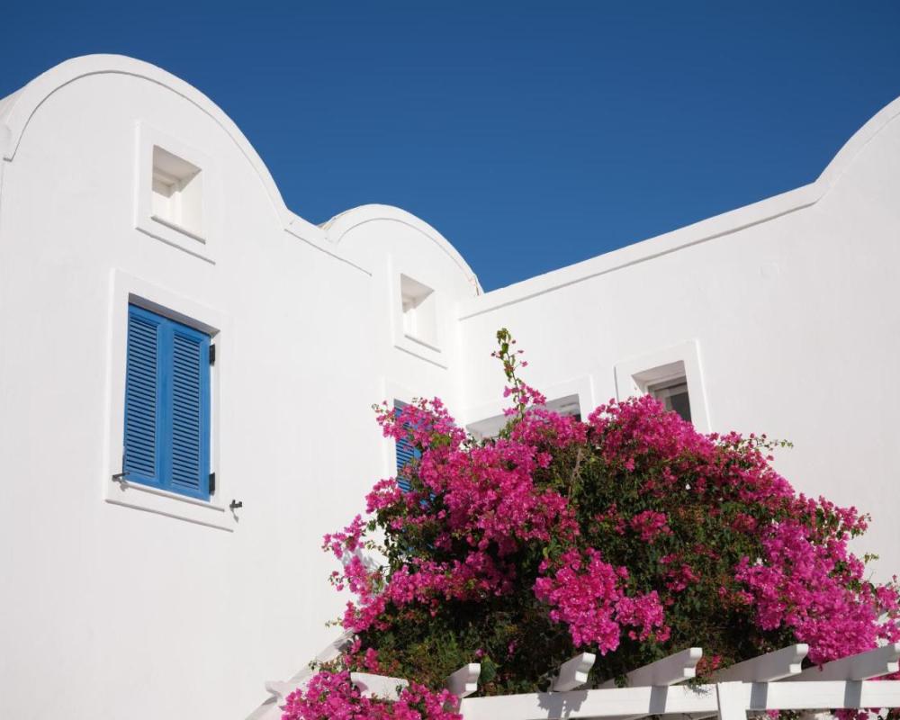 фото Loizos Stylish Residences