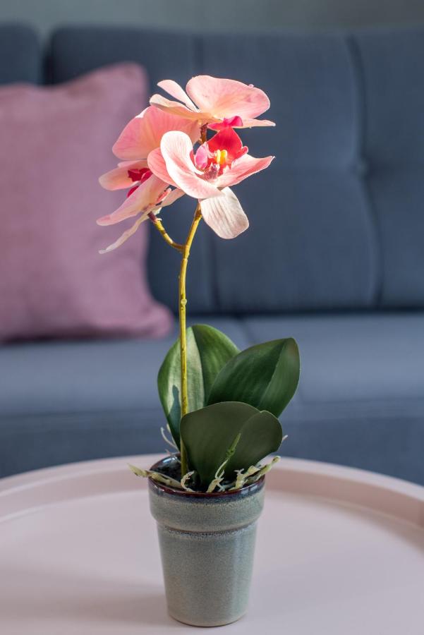 фото Poseidonio
