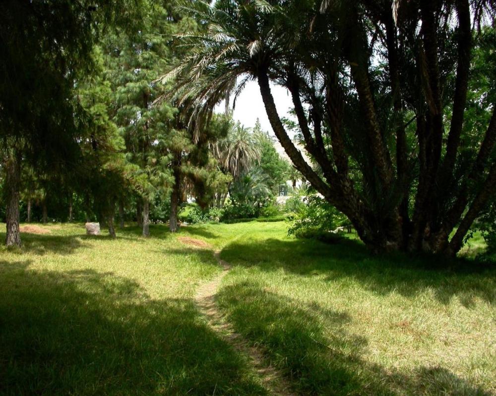 фото Sidi Harazem