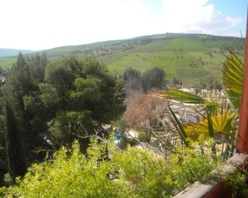фото Sidi Harazem