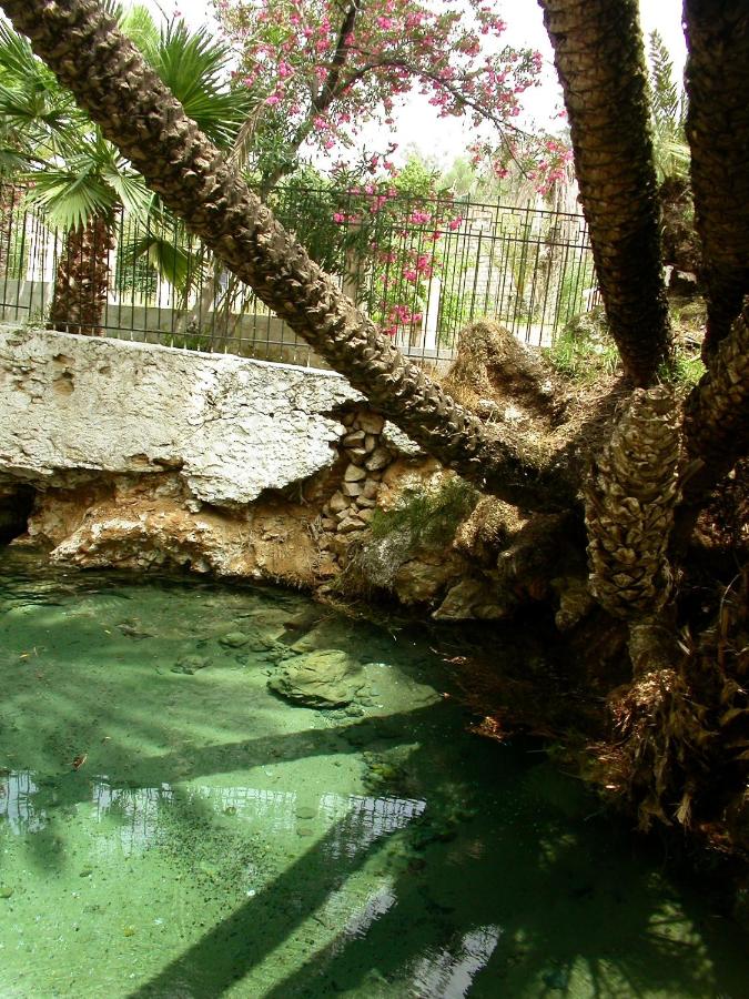 фото Sidi Harazem