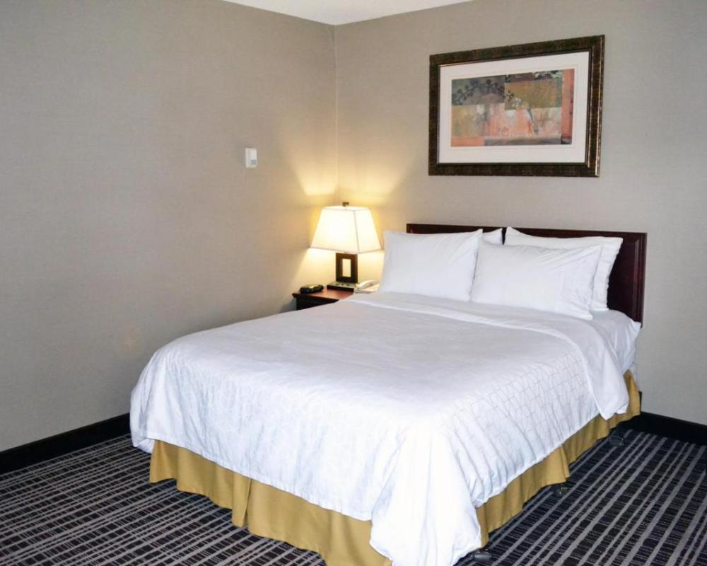фото Holiday Inn Express Red Deer, an IHG Hotel