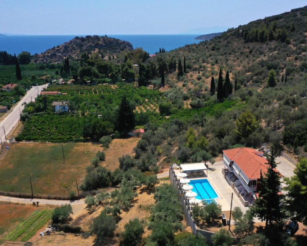 фото Villa Lilly