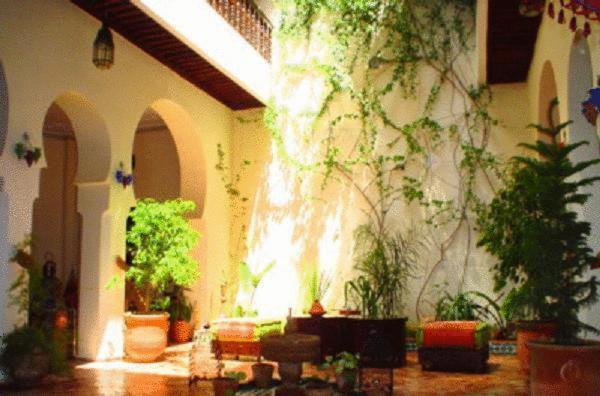 фото Ryad Bahia