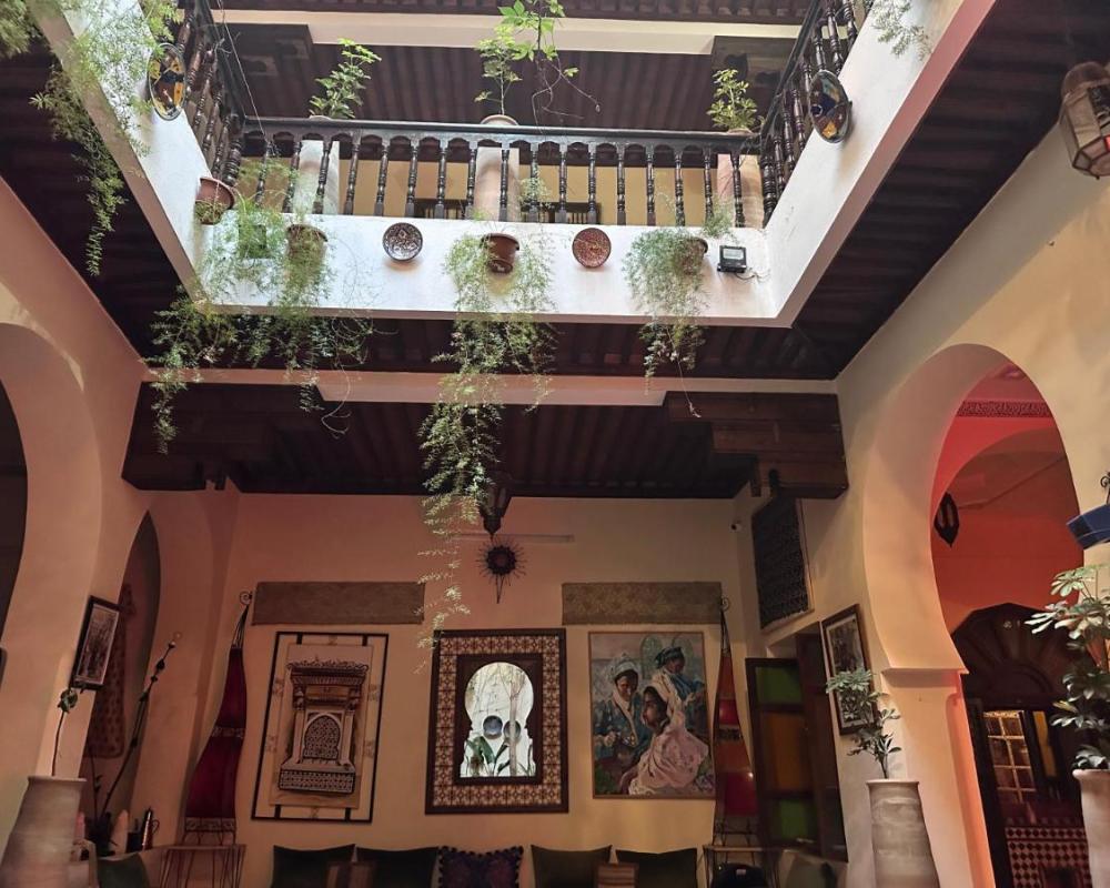 фото Ryad Bahia