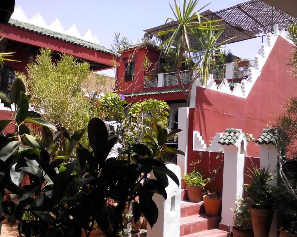 фото Ryad Bahia
