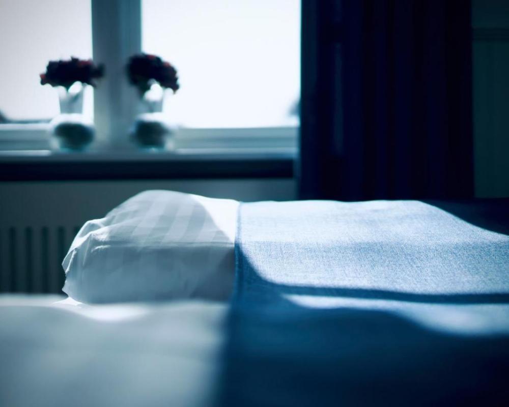 фото Hotel Plesner