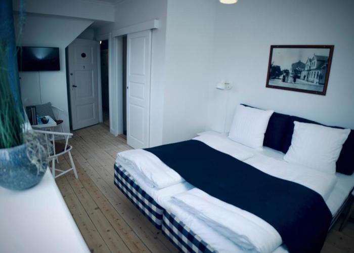 Hotel Plesner