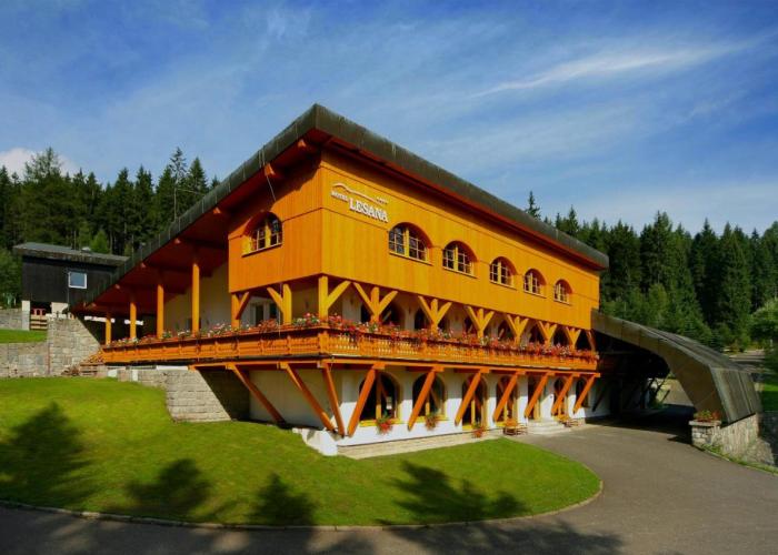Hotel Lesana