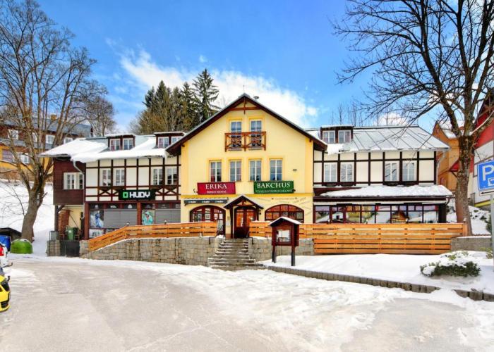 Hotel Erika