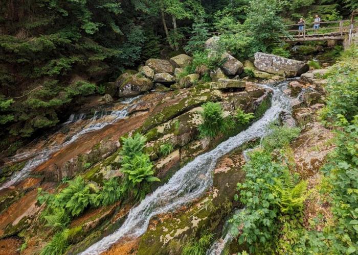Waldgaststätte und Berghotel Steinerne Renne
