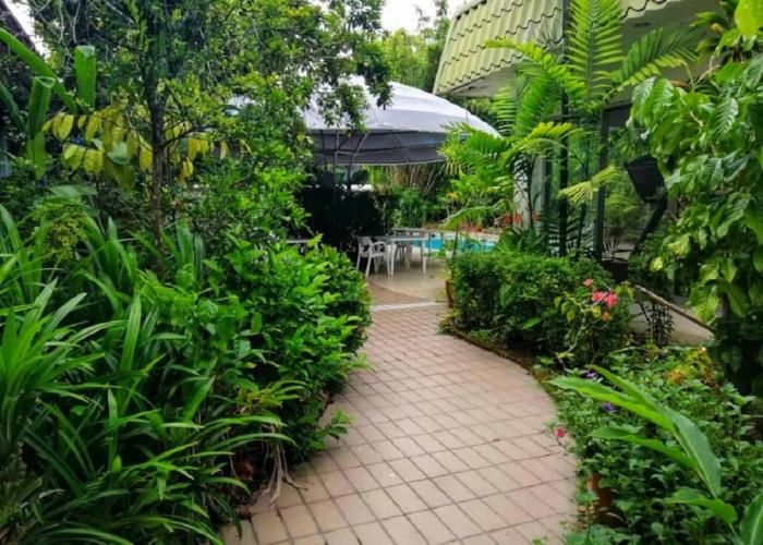 Terrace Hotel