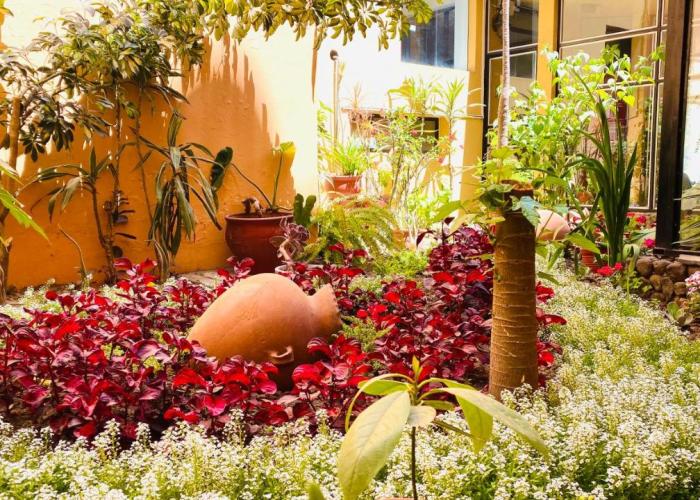 Arequipa Inn