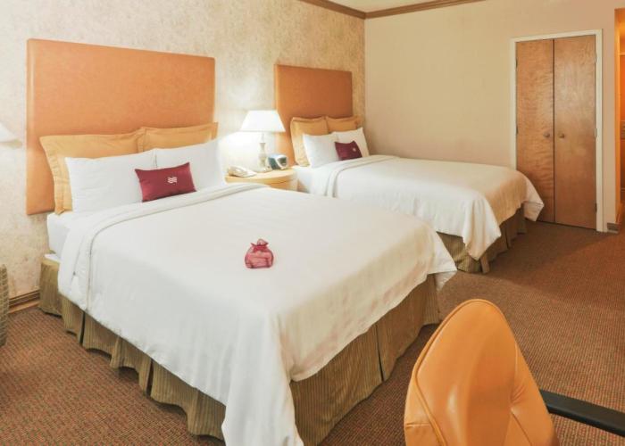 Crowne Plaza Torreon, an IHG Hotel