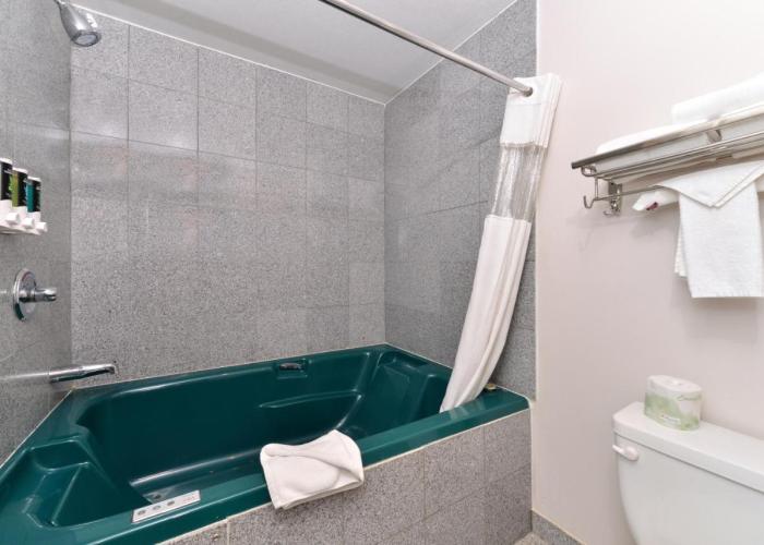 Canadas Best Value Inn Valemount