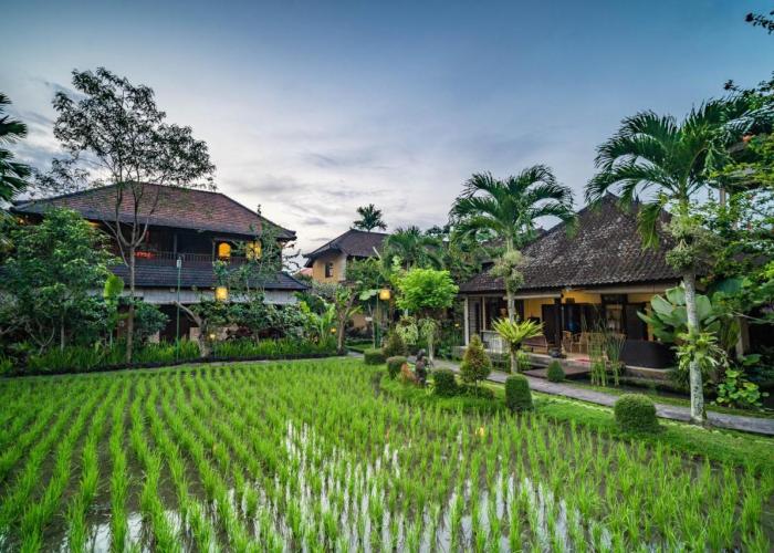 Bliss Ubud Spa Resort