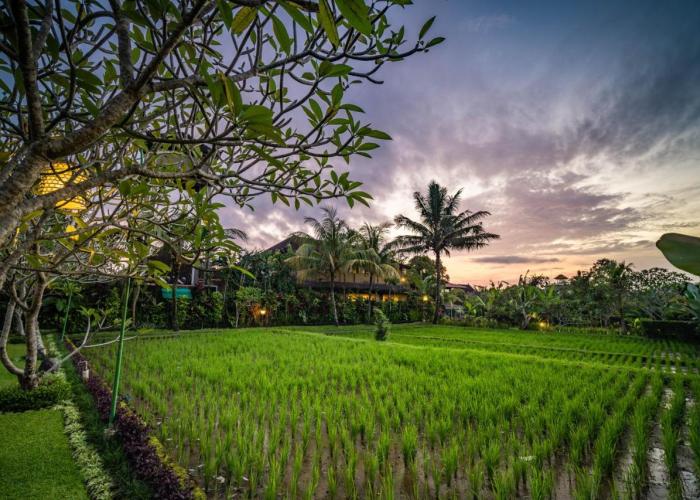 Bliss Ubud Spa Resort