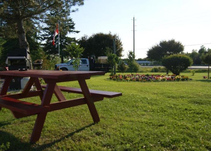 Blue Jay Motel