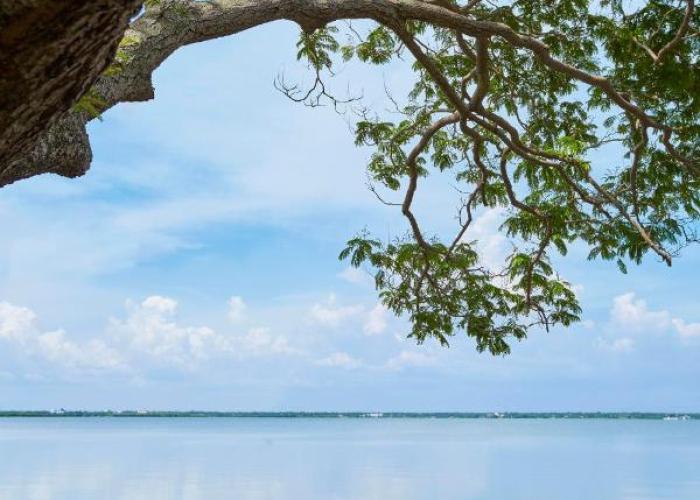 Jetwing Lagoon