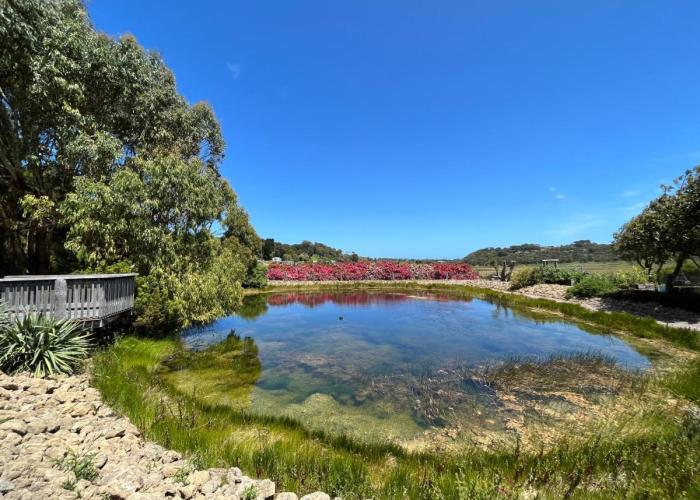 Daysy Hill Country Cottages