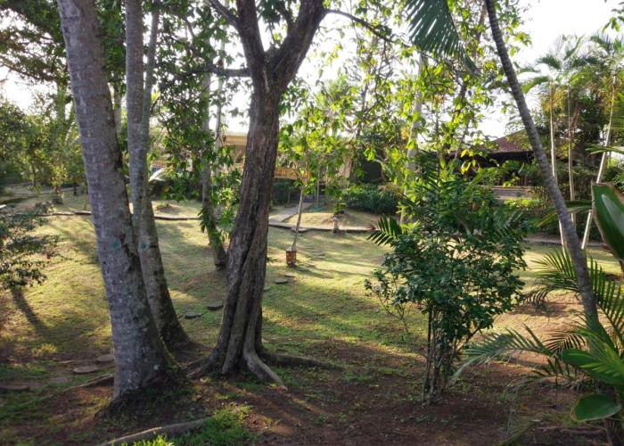 Gajah Mina Beach Resort