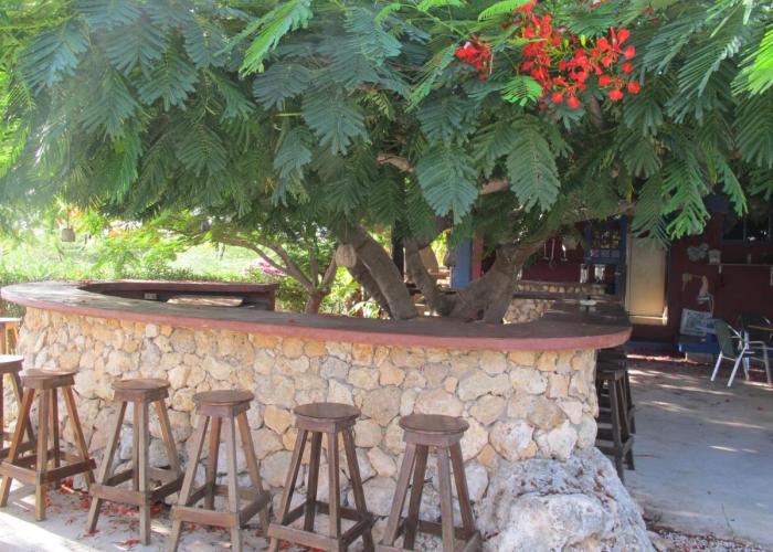 Caribbean Chillout Apartments