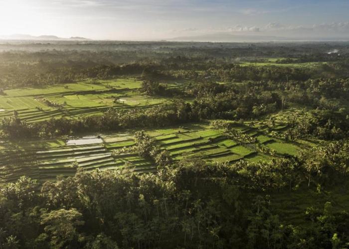 COMO Shambhala Estate - CHSE Certified