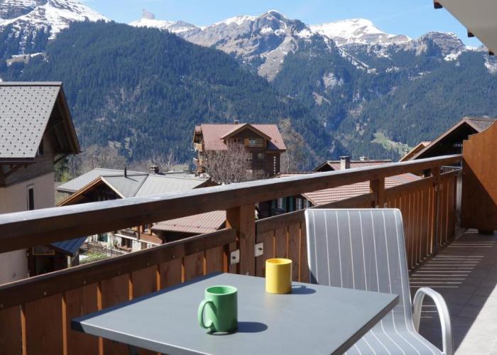 Chalet Bella Vista 3