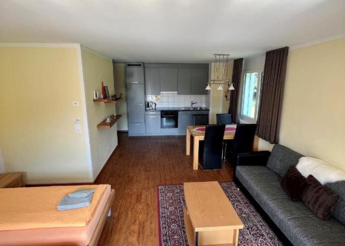 Aladin Apartments St Moritz