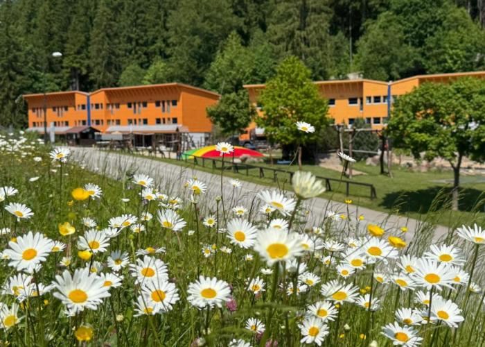 Aqua Park Špindlerův Mlýn