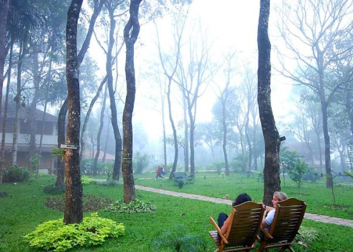 Greenwoods Resort