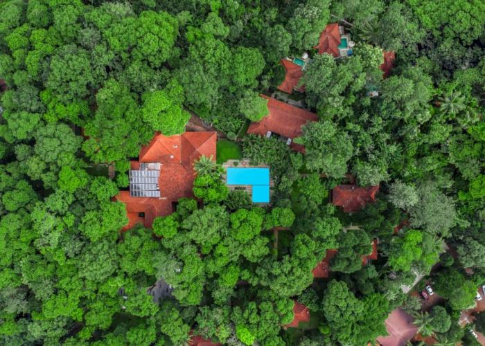 Greenwoods Resort
