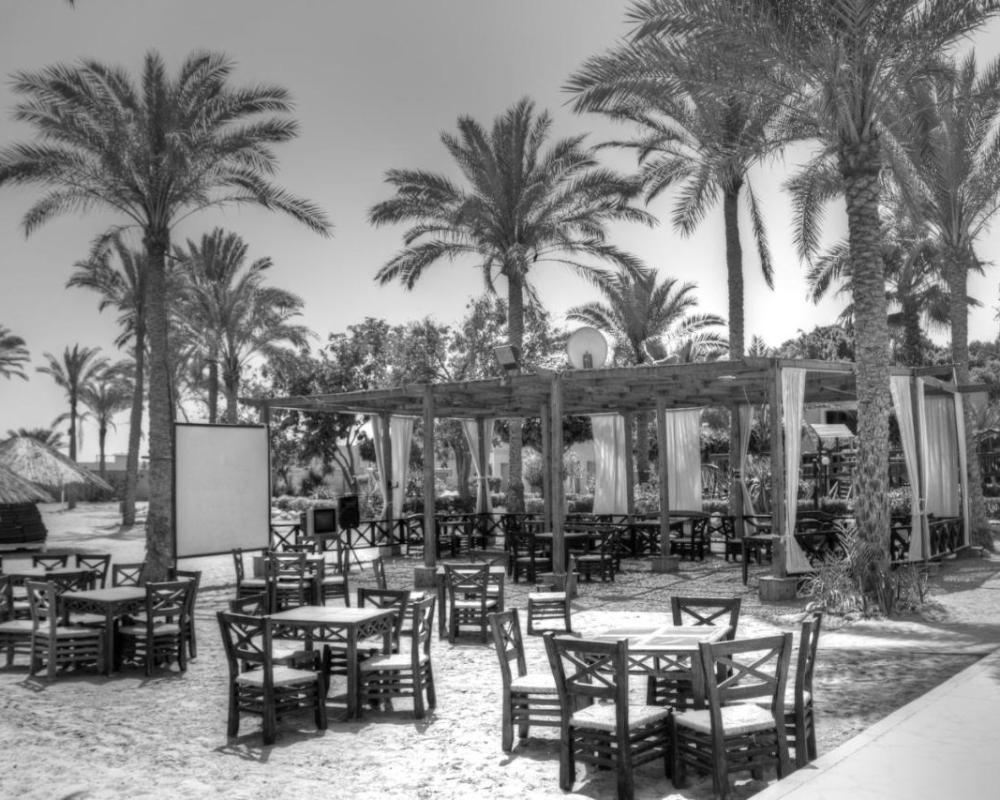 фото ZYA Palmera El Sokhna - Families Only