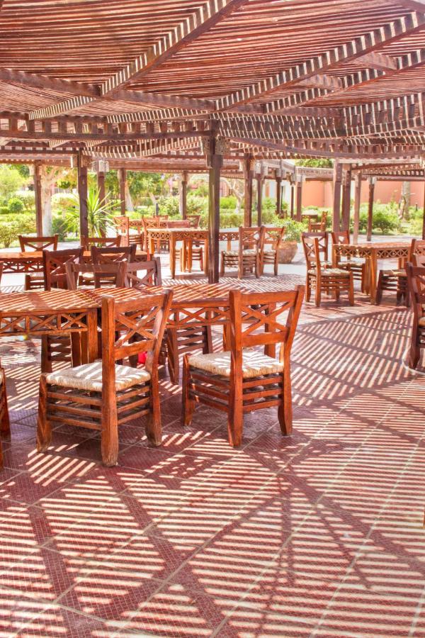 фото ZYA Palmera El Sokhna - Families Only