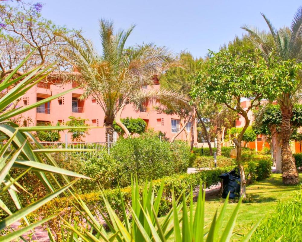 фото ZYA Palmera El Sokhna - Families Only