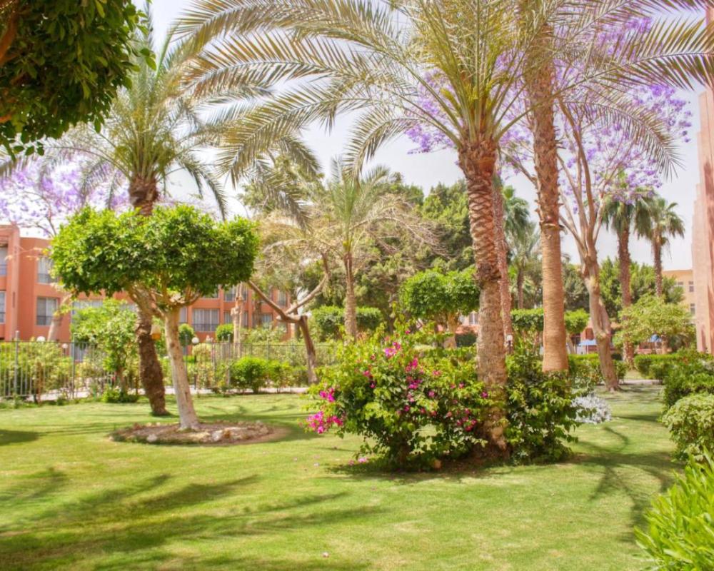 фото ZYA Palmera El Sokhna - Families Only