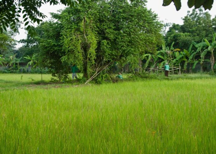 Battambang Resort