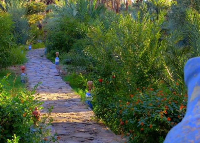 Riad Tagmadarte Ferme d'Hôte
