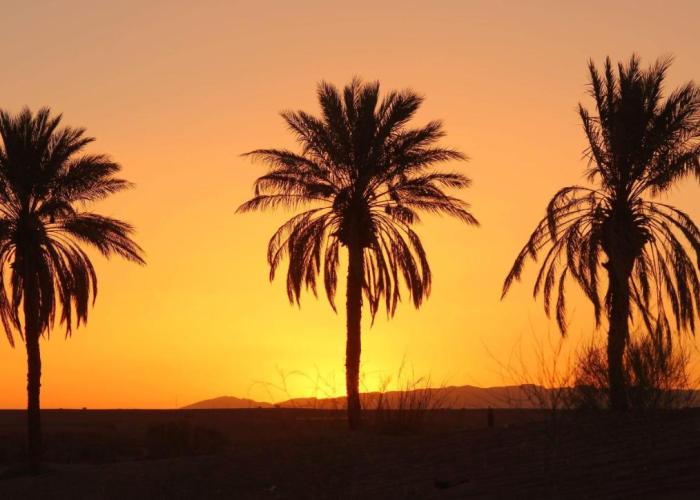 Riad Tagmadarte Ferme d'Hôte