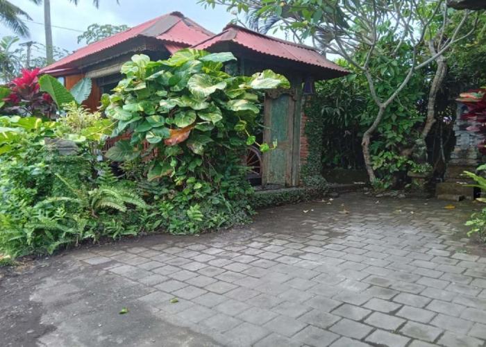 Pondok Pisces Bungalows Balian Beach