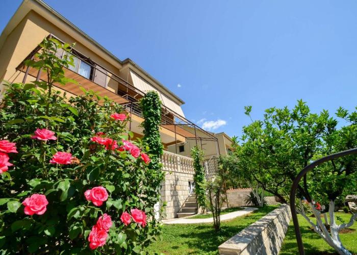 Apartmani Ćetković
