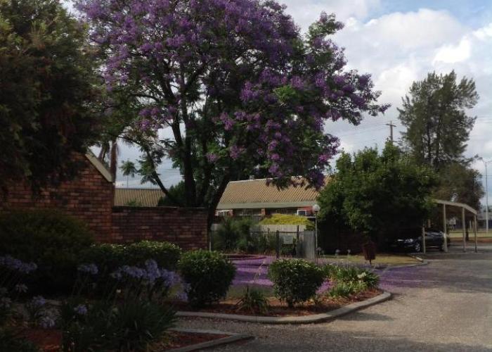 Belvoir Village Motel & Apartments Wodonga