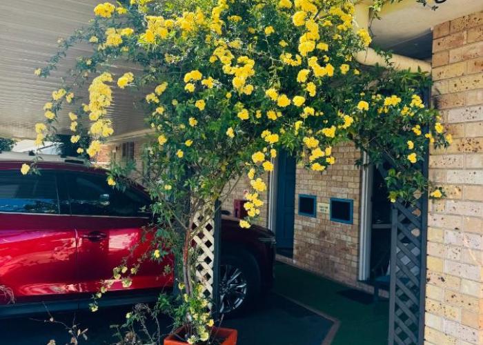 Town and Country Motor Inn