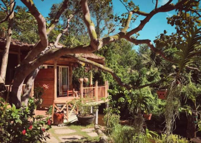 Bamboo Cottages