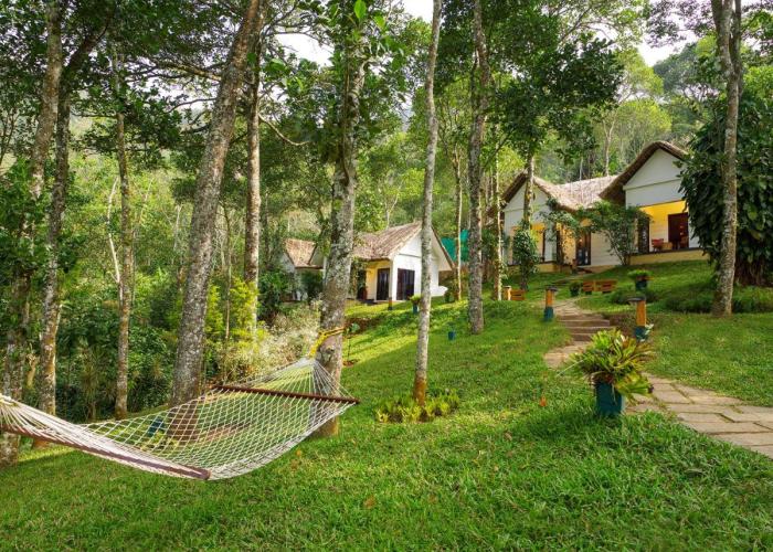 Niraamaya Retreats Cardamom Club
