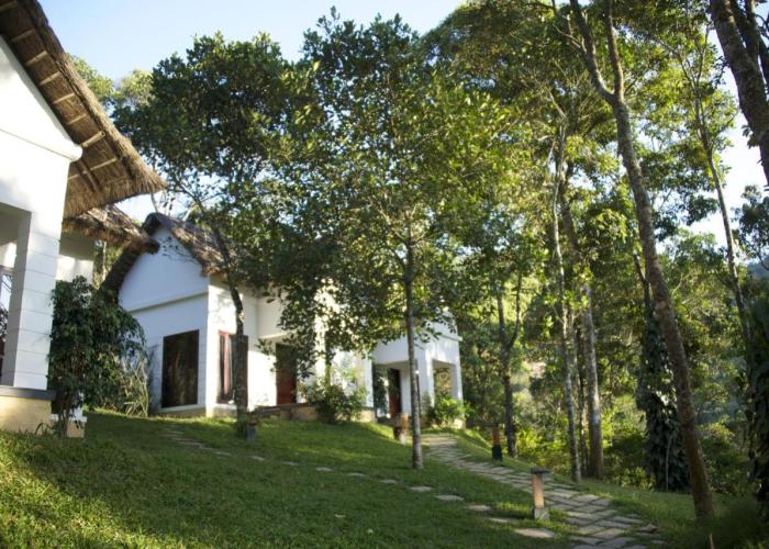 Niraamaya Retreats Cardamom Club
